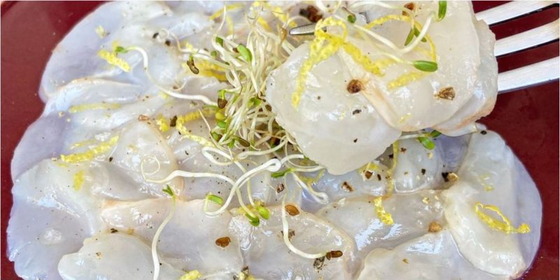 Carpaccio de vieira