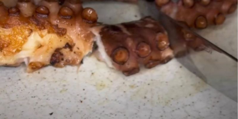 Polvo Grelhado